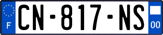 CN-817-NS