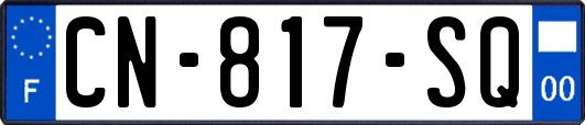 CN-817-SQ