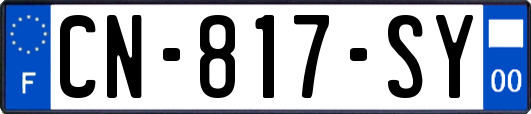 CN-817-SY