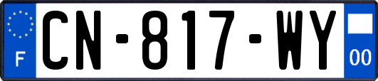 CN-817-WY