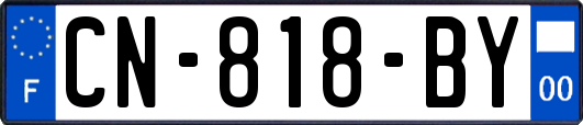 CN-818-BY