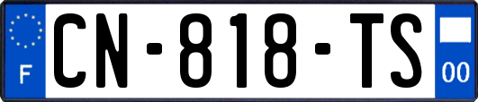 CN-818-TS