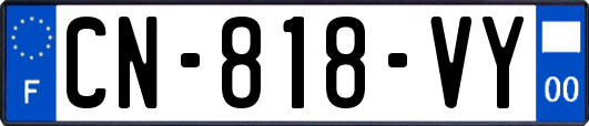 CN-818-VY