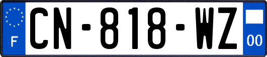 CN-818-WZ