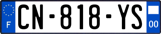 CN-818-YS