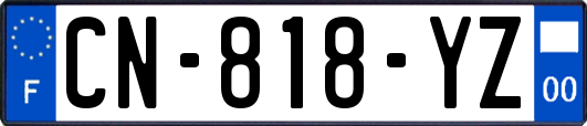 CN-818-YZ