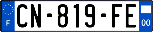 CN-819-FE