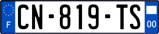 CN-819-TS