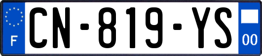 CN-819-YS