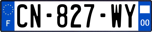 CN-827-WY