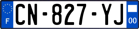 CN-827-YJ