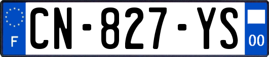 CN-827-YS