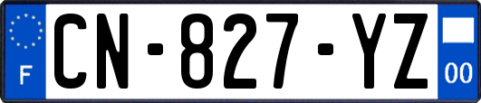 CN-827-YZ