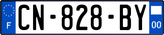 CN-828-BY