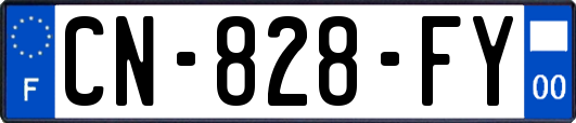 CN-828-FY