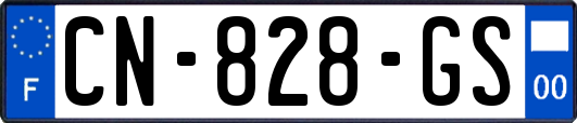 CN-828-GS
