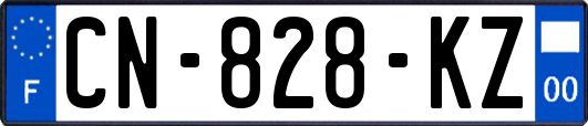 CN-828-KZ