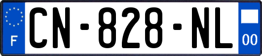 CN-828-NL