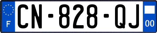 CN-828-QJ