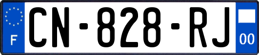 CN-828-RJ