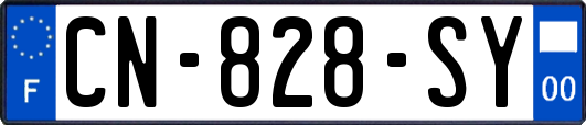 CN-828-SY