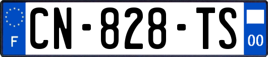 CN-828-TS