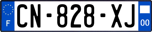 CN-828-XJ