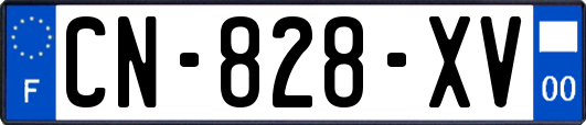 CN-828-XV