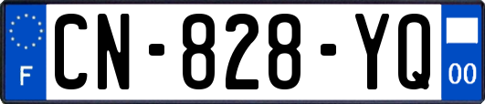 CN-828-YQ