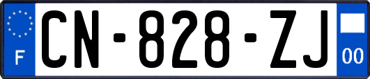 CN-828-ZJ