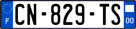 CN-829-TS