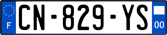 CN-829-YS