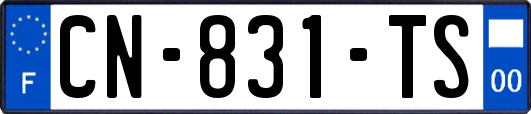 CN-831-TS