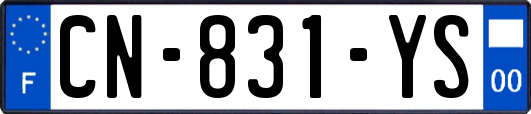 CN-831-YS