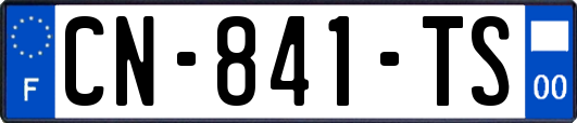 CN-841-TS