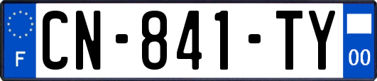CN-841-TY