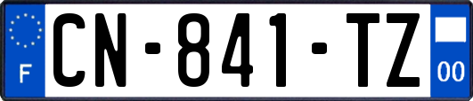CN-841-TZ