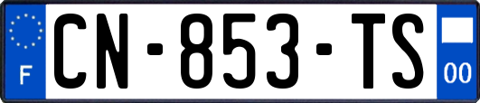 CN-853-TS