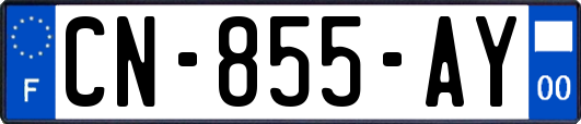 CN-855-AY