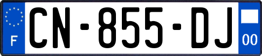 CN-855-DJ