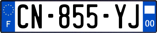 CN-855-YJ