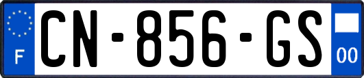 CN-856-GS