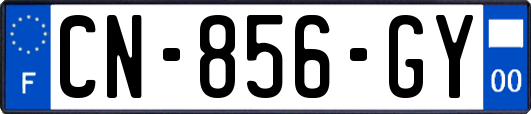 CN-856-GY