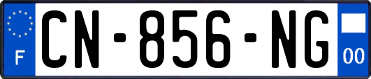CN-856-NG