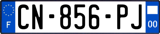 CN-856-PJ