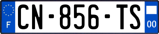 CN-856-TS