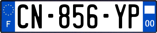 CN-856-YP