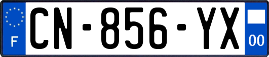 CN-856-YX