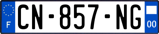 CN-857-NG