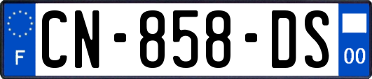 CN-858-DS